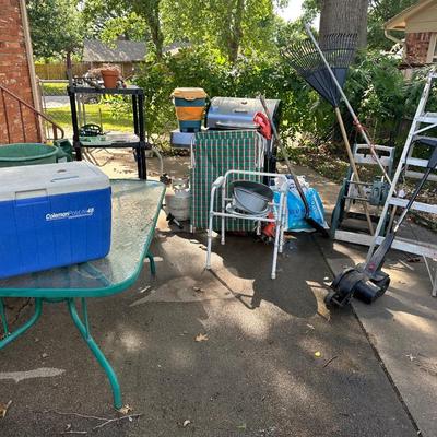 Lot 23: Backyard selection