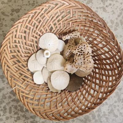 Sea Shells