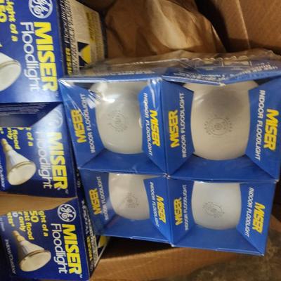 Light Bulbs