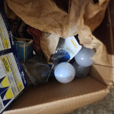 Light Bulbs