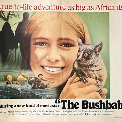 The Bushbaby 1969 vintage movie poster
