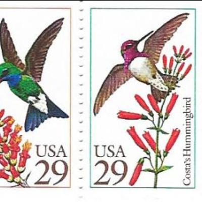 Hummingbirds USA Stamp Book