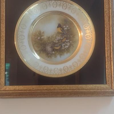 Pair of Framed Porcelain Hand Painted Wild Bird Plates Choice A