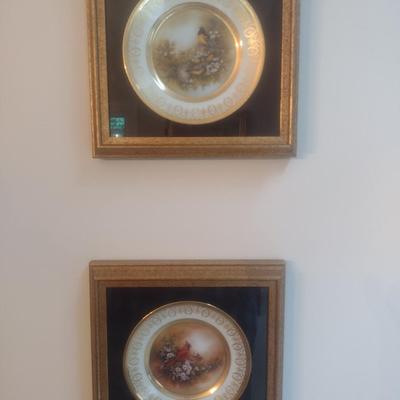 Pair of Framed Porcelain Hand Painted Wild Bird Plates Choice A