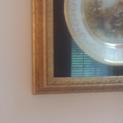 Pair of Framed Porcelain Hand Painted Wild Bird Plates Choice A
