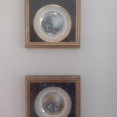 Pair of Framed Porcelain Hand Painted Wild Bird Plates Choice B