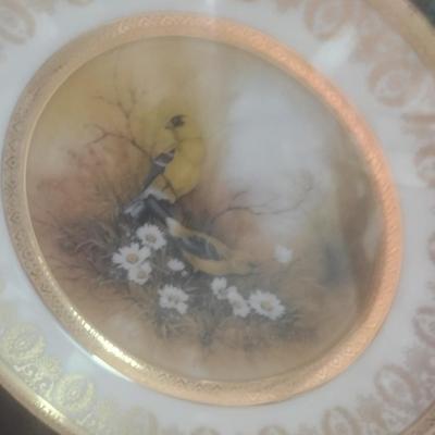 Pair of Framed Porcelain Hand Painted Wild Bird Plates Choice B