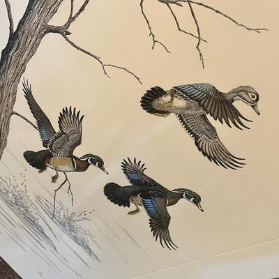 Lot 155 Waterfoul Prints