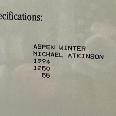 Lot 163 Aspen Winter