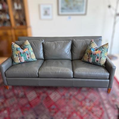 Freestyle Collection Couch With Throw Pillows (LR-BM)