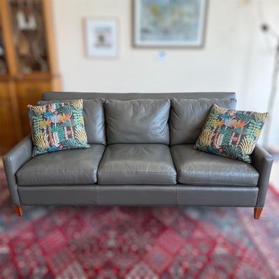 Freestyle Collection Couch With Throw Pillows (LR-BM)
