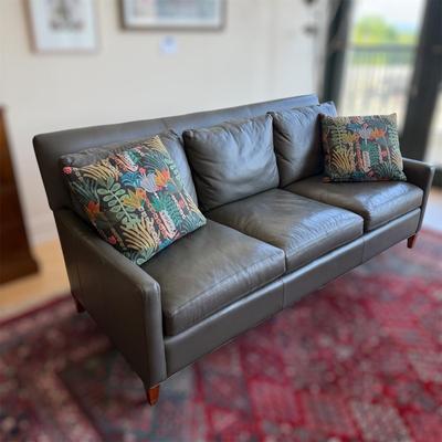 Freestyle Collection Couch With Throw Pillows (LR-BM)