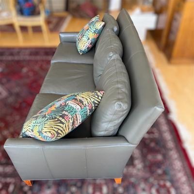 Freestyle Collection Couch With Throw Pillows (LR-BM)