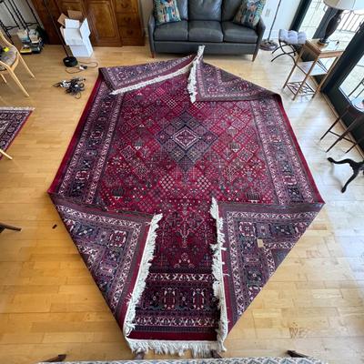 Beautiful Area Rug - 9’ x 14’ (LR-DZ)