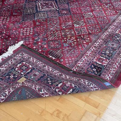 Beautiful Area Rug - 9’ x 14’ (LR-DZ)