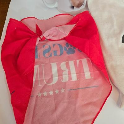 Pro-Trump Memorabilia Lot – Flag, Apparel, Mug & Sticker