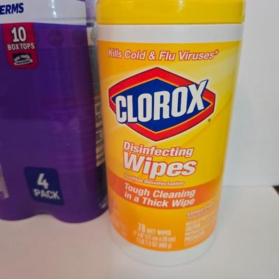 Disinfecting & Sanitizing Lot – Lysol, Clorox, and Sani+Smart