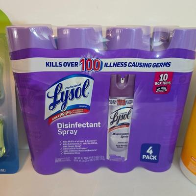 Disinfecting & Sanitizing Lot – Lysol, Clorox, and Sani+Smart