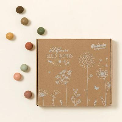 Blossombs Wildflowers Seed Bomb Kit Gift Set (7 Bombs Per Package)