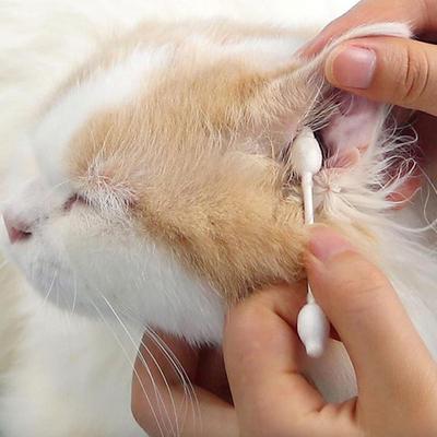 50 Piece Disposable Pet Ear Cleaning Cotton Swabs Cat Dog Ear Care Cotton Stick
