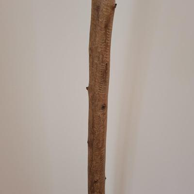 Bird Tree by Paul Sumner (D-EL)