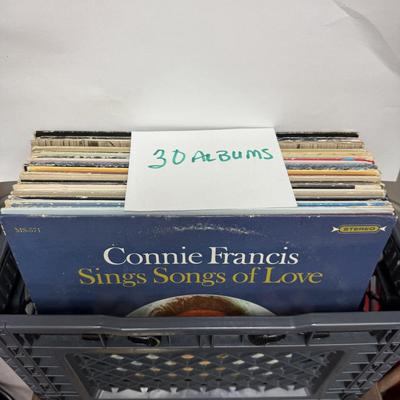 Vinyl Record Lot