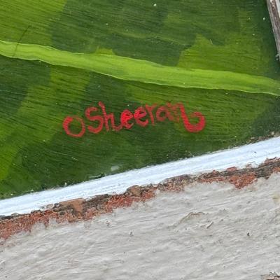O'Sheeran Window Pane Painting Set (D-DZ)