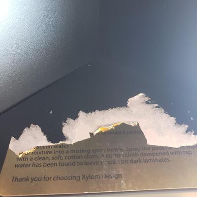 Changstrom Bird on a Branch Sculpture with Stand (D-BM)