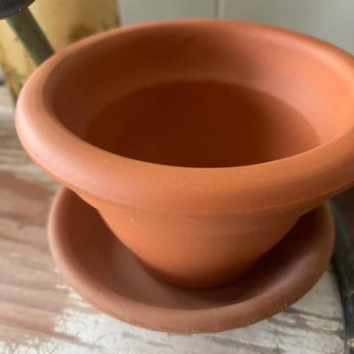 Vintage watering can and small pots