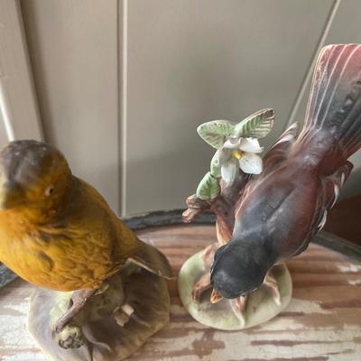 Bird S&P shakers and more