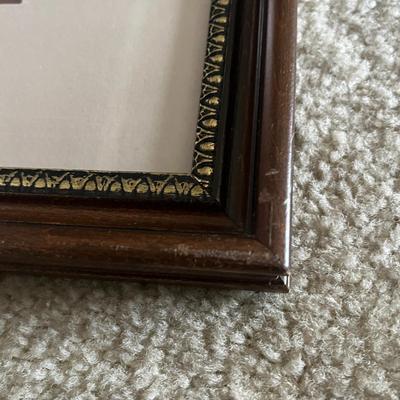Framed Vintage Shorebird Art Print