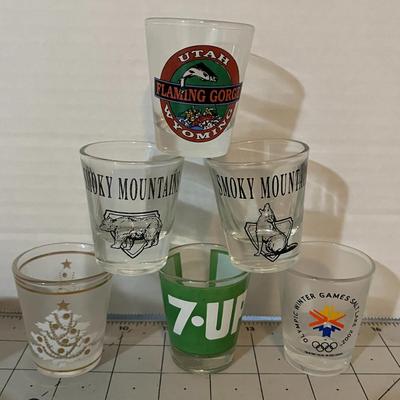Flaming Gorge Reservoir Shot Glass