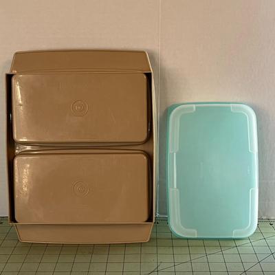 Vintage Tupperware Deviled Egg and Storage Containers – Set of 2