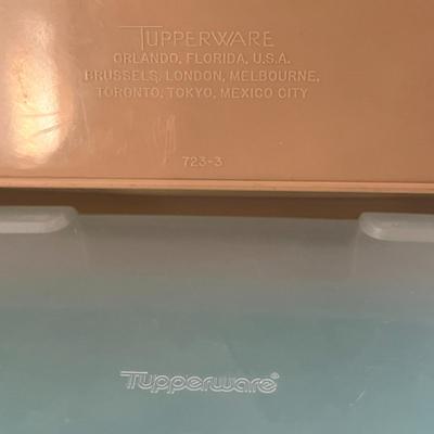 Vintage Tupperware Deviled Egg and Storage Containers – Set of 2