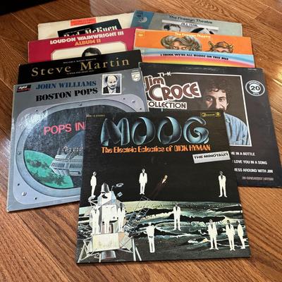 LOT 124L: Various Artists on Vinyl including Steve Martin, Jim Croce and More!