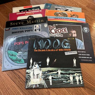 LOT 124L: Various Artists on Vinyl including Steve Martin, Jim Croce and More!