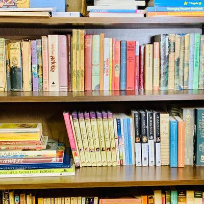 LOT 293: Large Selection of Children's Literature /Books for the Older Reader