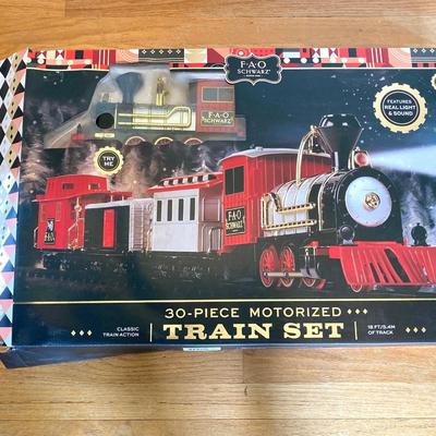 LOT 316: FAO Schwarz 30-Piece Motorized Train Set in Original Box