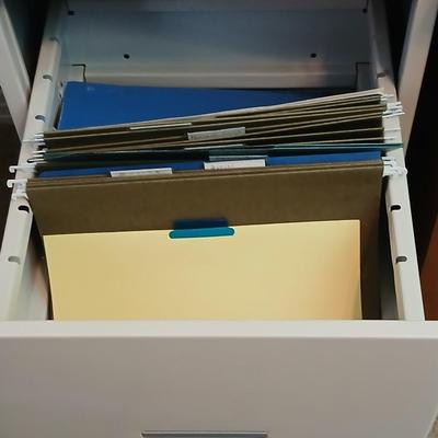 W.P. Johnson Company 4-Drawer Vertical File Cabinet – Locking, Metal, beige with keys!