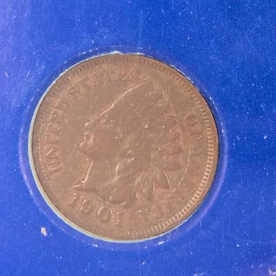 LOT 114: Indian Head Princess Coin, Indian Head Penny Collection, and More