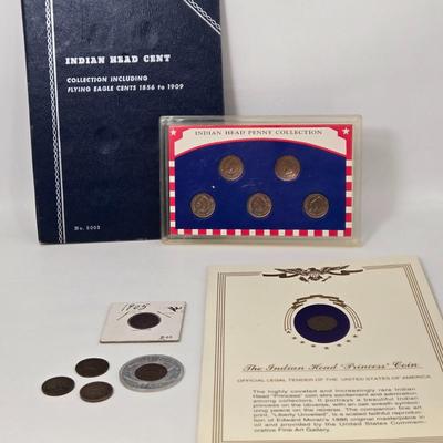 LOT 114: Indian Head Princess Coin, Indian Head Penny Collection, and More