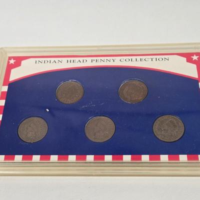 LOT 114: Indian Head Princess Coin, Indian Head Penny Collection, and More