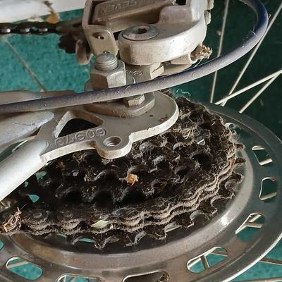 Vintage Nishiki Women's 10-Speed Road Bike – Classic Steel Frame