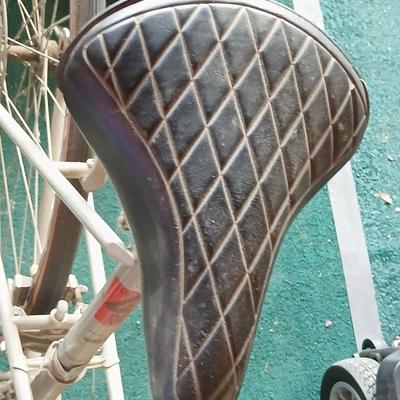 Vintage Nishiki Women's 10-Speed Road Bike – Classic Steel Frame