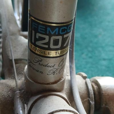 Vintage Nishiki Women's 10-Speed Road Bike – Classic Steel Frame