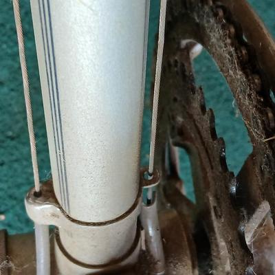 Vintage Nishiki Women's 10-Speed Road Bike – Classic Steel Frame