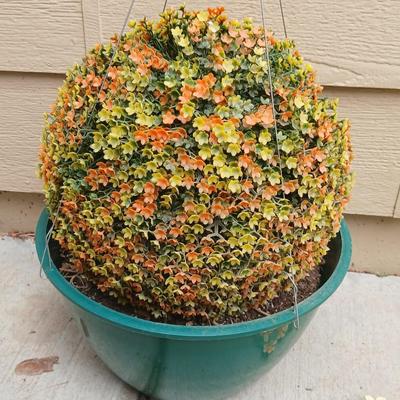 Decorative Garden Decor Lot – Faux Florals & Daisy Light