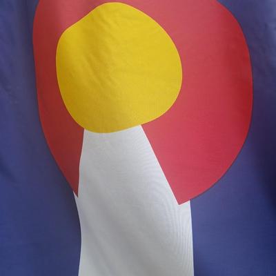 Colorado & U.S. Flag Pair on Mounting Pole