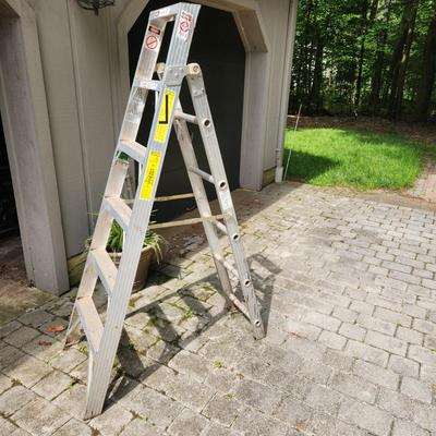 Werner Job Master Ladder F366 6 ft Step ladder 10 ft 5" Straight Ladder