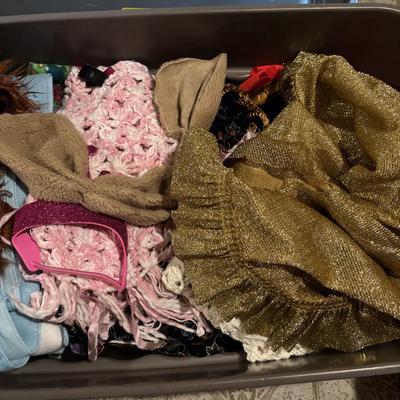 LOT 386: Costumes & Accessories, T-Shirts, Fleece Blankets and More